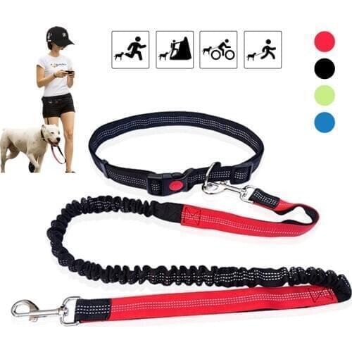 Adjustable Dog Leash Hands Free Leash for Running Walking Training Hiking Strengthen Traction Harness Nylon Medium Dog Lead