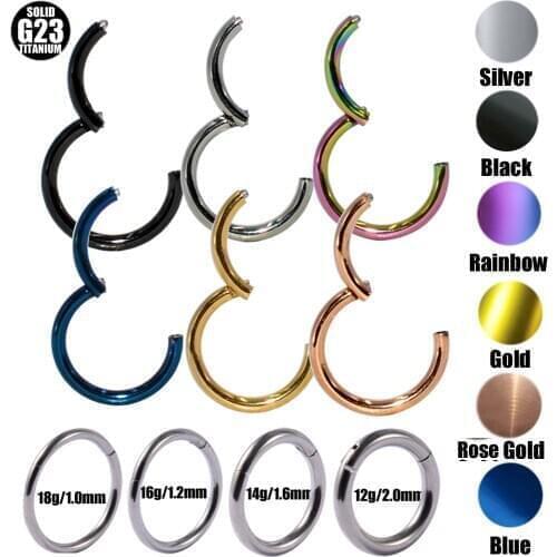 2Pcs G23 Titanium Hinged Segment Nose Rings Ear Septum Helix Tragus Captive Piercing Lip Eyebrow Nipple Clicker Body Jewelry