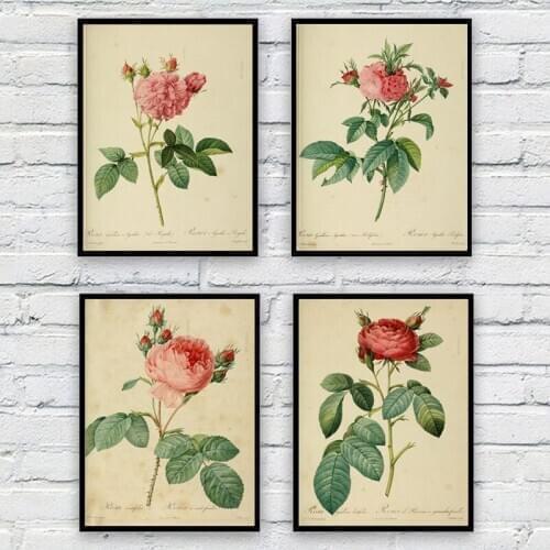 Antique Botanical Art Posters Prints Vintage Flowers Rose Wall Painting Pictures for Living Room Home Kraft paper