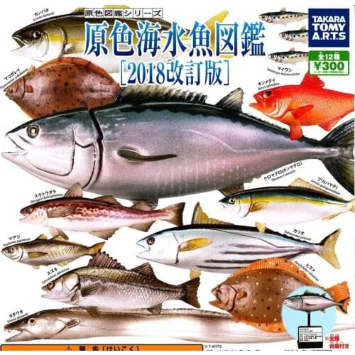 TAKARA TOMY Genuine Gashapon Toys Primary Color Sea Fish Atlas Three Dimensional Encyclopedia Action Figure Ornaments