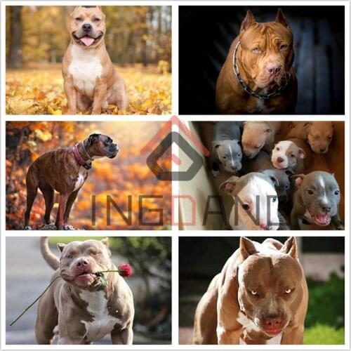 5D Diamond Painting Full Square Round Drill Pitbull Dog Ferocious Diamond Embroidery Animal Dog Cross Stitch Mosaic Home Decor