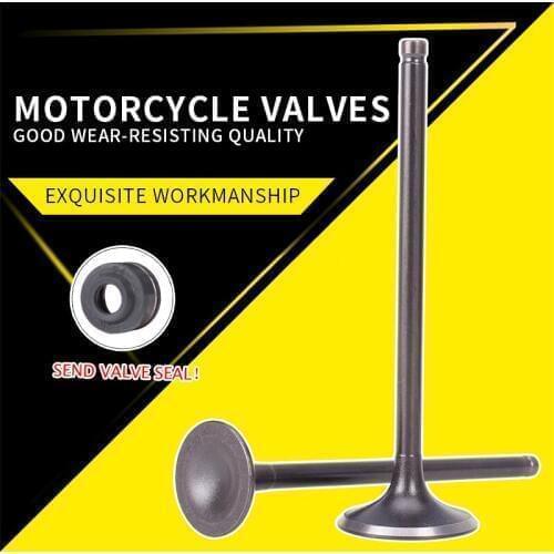 3PCS/sets Intake Exhaust Valves with Oil Seal For HONDA Steed400 Steed600 Steed Big Ant VTR VTR250 Motorcycle Accessories