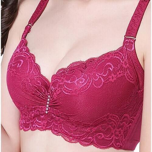 Womens Bra Full Figure No Wired Plus Size Wirefree Back Close Lace Bra Passion For Comfort Minimizer Bralette Lingerie Intimates