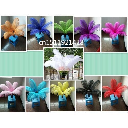 Wholesale Quality 500pcs natural ostrich feather 16-18inch/40-45cm diy stage performance wedding decorative Clothing accessories