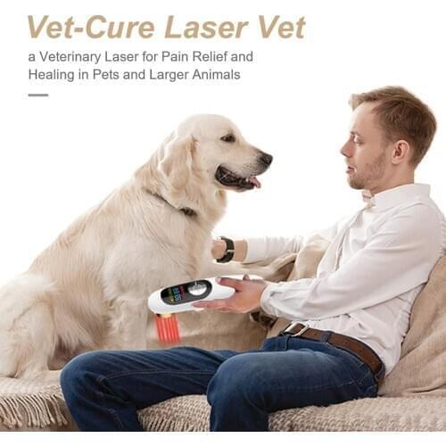 Veterinary handheld 808nm medical laser physiotherapy acupuncture rehabilitation Laser Pain Relief device Promote Wound Healing