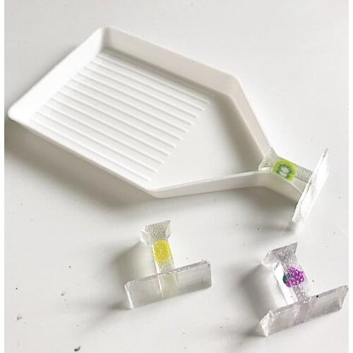 Fruit Diamond Painting Small Tray Stopper with Area for Label Sticker, 5D Painting Art Crafts Tool