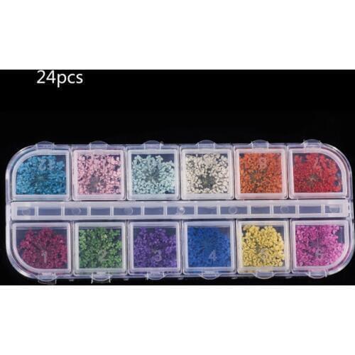 24Pcs Real Pressed Flower Annes Lace Dried Flower Nail Art Resin Jewelry Making