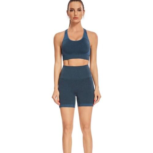 Steamless Women Sports Set Tank Tops+Shorts Running Yoga Clothing Two Piece Sets Summer Skinnny Tracksuits