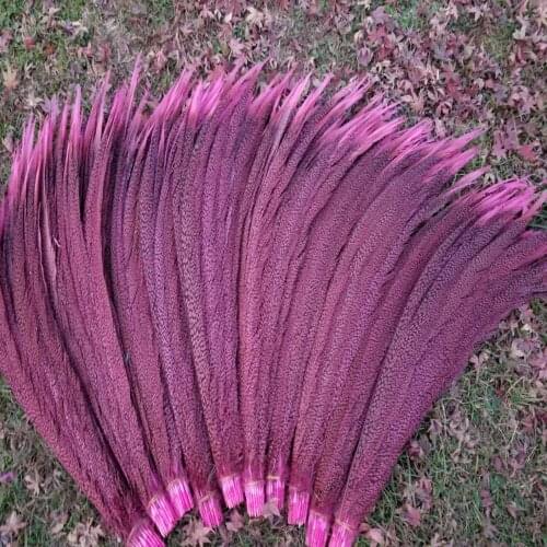 Wholesale 5pcs Rare Pink Natural Golden Pheasant Tail Feathers 26-28 inches/65-70 cm For Wedding Christmas Decoration