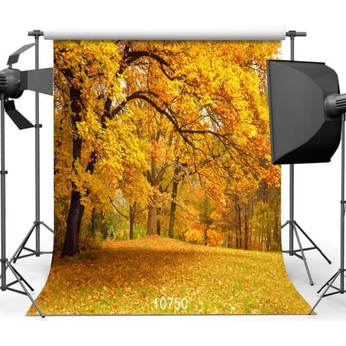 Yellow Leaves Autumn Park Photography Backdrops Photo Background 3D Vinyl Cloth Backdrop for Photo Studio Shooting Photophone