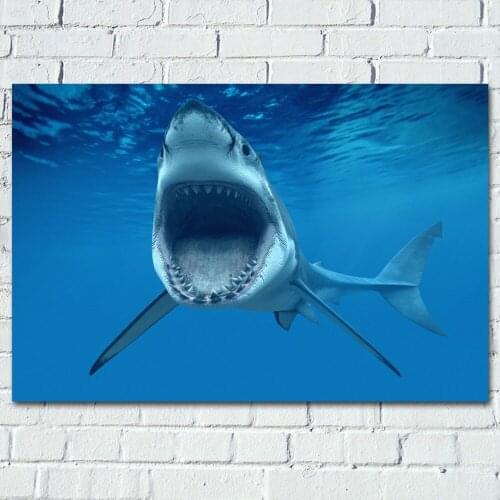 Posters and Prints Marine life Shark Underwater Animal Wall Art Wall Art Picture Canvas Art Painting For Home Room Decor