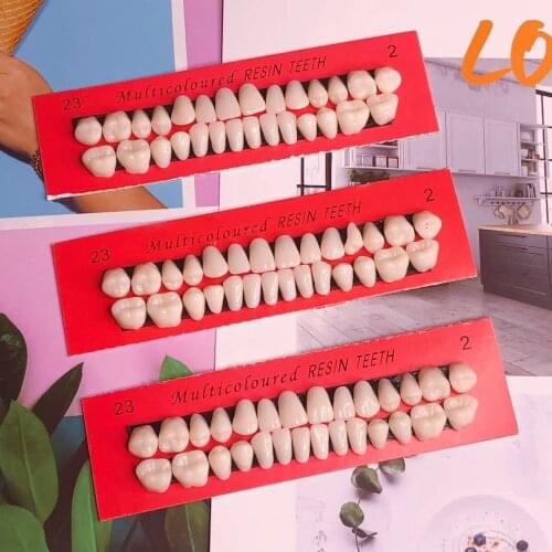 28Pcs/Set Universal Resi False Teeth Resin Teeth Model Durable Dentures Dental Material Teeth Teaching Model Dedicated Teeth