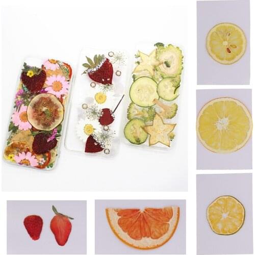 Natural Pressed Dried Fruit Slices Specimen Ornaments for Christmas Home Garden Wreath Florist Decoration Wedding Party Favors