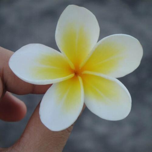 Seashore Beach Artificial Plumeria Foam Flower Hair Clips 3 Sizes Barrettes Women Headwear Hair Accessories