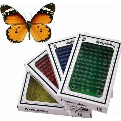 48pcs Microscope Prepared Slides Plastic Biological Specimen Mini Camera Insects Plants Sample For Student Children Enlighten
