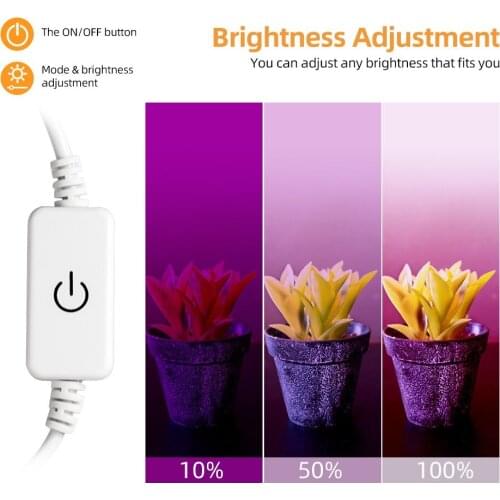 LED Grow Light Full Spectrum Phyto Lamp USB 5V Grow Light Strip 0.5m 1m 2m 3m 2835 SMD Plants Flowers Greenhouse Hydroponic