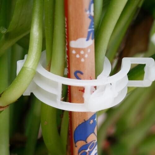 50-100Pcs Tomato Clips Trellis Garden Supports Connects Plants Vines Trellis Flower Vegetable Binder Twine Plant Clip Greenhouse