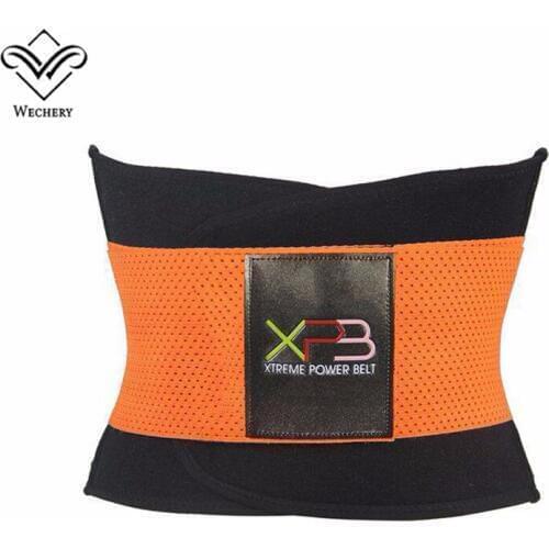 Wechery Men's Corsets
