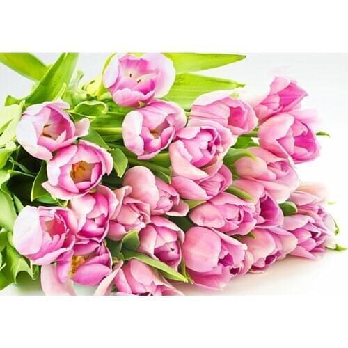 Full drill square diamond painting DIY diamond painting cross stitch diamond embroidery Pink tulip flower hand craft HL524
