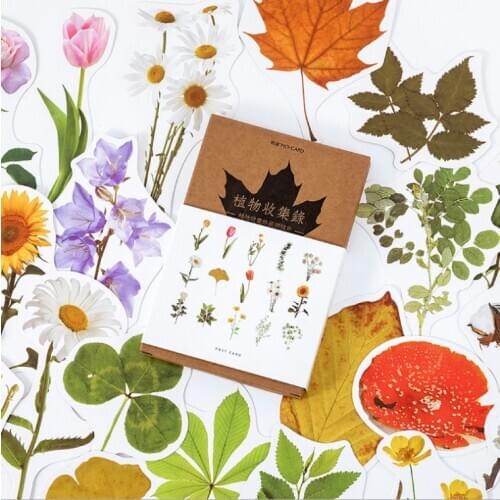 Nice plant paper postcard