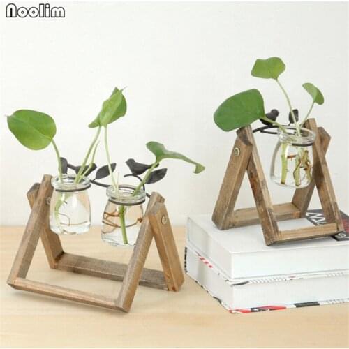 NOOLIM Creative Glass Water culture containers Home Living Room Office Desk Decoration Water Plant Bottle Flower Vase Ornaments