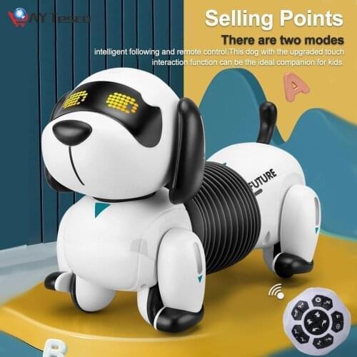 HAIMAITON Interactive Toys