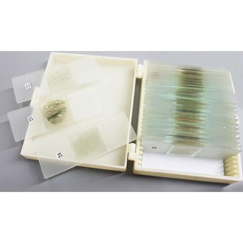 24 PCS 30um Geological Research Flakes Prepared Fir Gum Sealing Rock Specimen Slice Microscope Slides for Polarizing Microscope