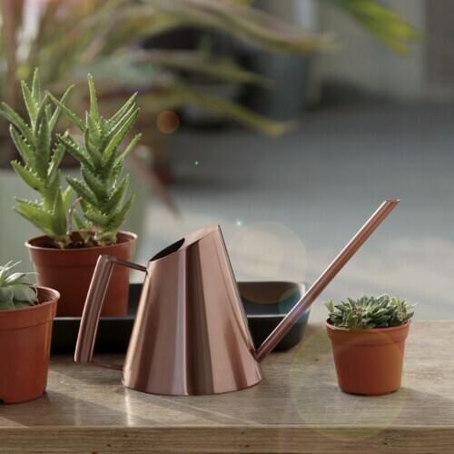 Small Indoor Watering Can for House Plants Stainless Steel Watering Pot with Long Spout