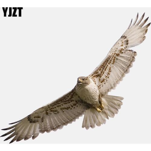 YJZT 16.6CM*6.4CM High Quality Animals Birds Eagle PVC Car Sticker 11-01200