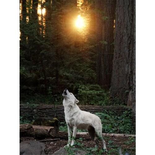 Wolf Animal Pre-Printed 11CT Cross-Stitch DIY Embroidery Set DMC Threads Sewing Handicraft Craft Knitting Design Stamped