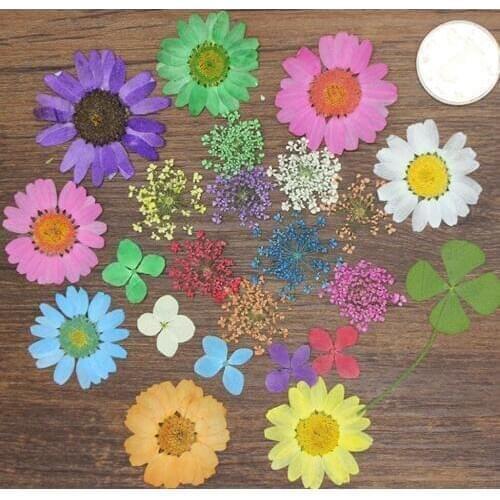 100pcs Assorted Dried Pressed Flowers Plant Herbarium For Jewelry Photo Frame Phone Case Craft DIY Making Accessories Mix-2