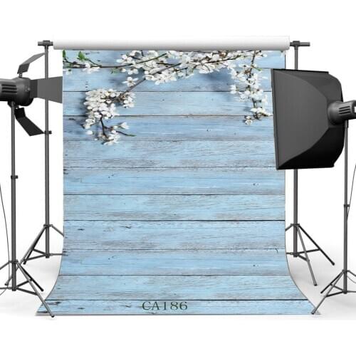 Photography Backdrops Painted Wreathered Stripe Wood Floor Cherry Blossom Branch Toddlers Portraits Background