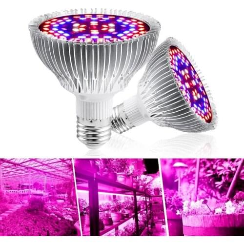 Фитолампы для растений ZSPQGD China At AliExpress