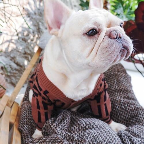 Autumn Winter Pet Dog Sweater for Small Dogs French Bulldog Apparel Pug Warm Costume Puppy Product PC1379