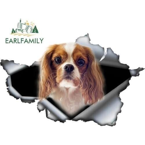 EARLFAMILY 13cm x 8.4cm Original Design 3D Torn Car Sticker Cavalier King Charles Vinyl Decal Car Trunk Bumper Custom Decoration