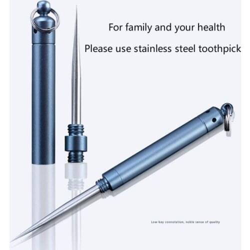 EDC Toothpick Bottle Fruit Fork Stainless Steel Toothpick With Protective Case Holder Camping Picnic Tool