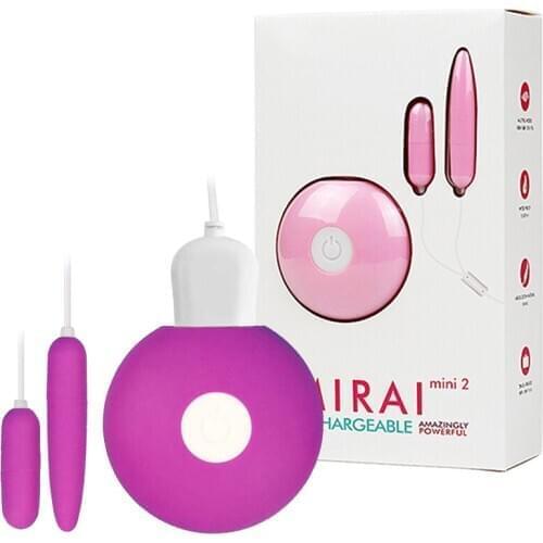 Rechargeable Vibrating Bullet Egg G spot Vibrator Clitoris Massage Anal Vagina Pussy Urethra Stimulation Sex Toys For Women Men