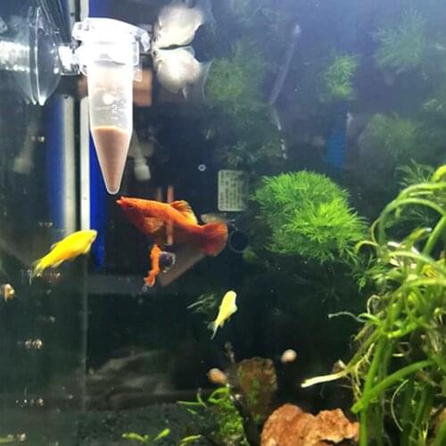 2pcs Automatic Fish Feeder Tapered Aquarium Worm Feeder Funnel Cup With Suction Cup