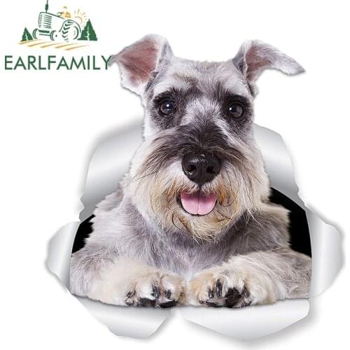 EARLFAMILY 13cm x 12.4cm Car Sticker Super Schnauzer Dog Stickers for Wall Fridge Toilet Gray Schnauzer Lover Ripped Torn Decal