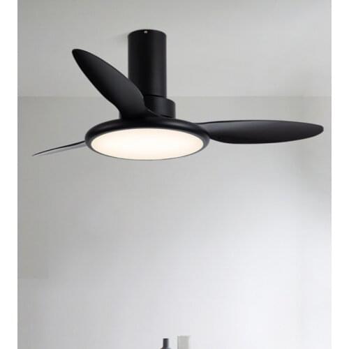 Modern LED Ceiling Fan with remote control Light for Dining Living Room Bedroom Frequence conversion Ventilador De Teto 220V
