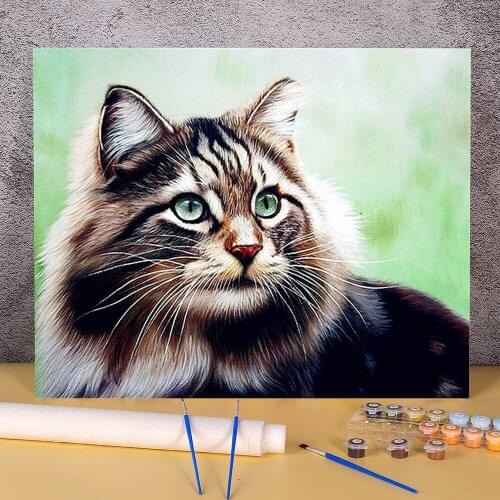 Animal Cat Painting By Numbers Package Oil Paints 40*50 Oil Painting Home Decoration Crafts Adults Handicraft Drawing