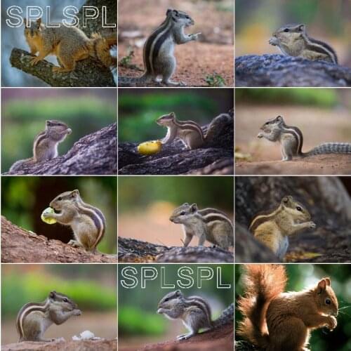 Diamond Painting Cartoon Figure Purple Square Diamond Round Diamond Decoration Customizable Wall Art Decoration for Living Room