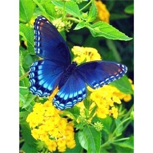 DIY 5D Diamond Painting Butterfly & Flower Diamond Embroidery Scenery Full Drill Round Mosaic Picture Rhinestone Handmade Gift