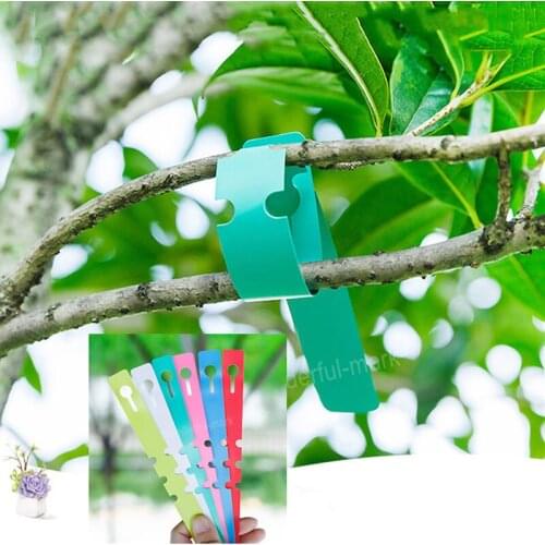 100 Pcs Hanging Tree Markers Plant Tags Garden Nursery Label Seedling Plant Fruit Trees Signs Prompt Card Classification Tool