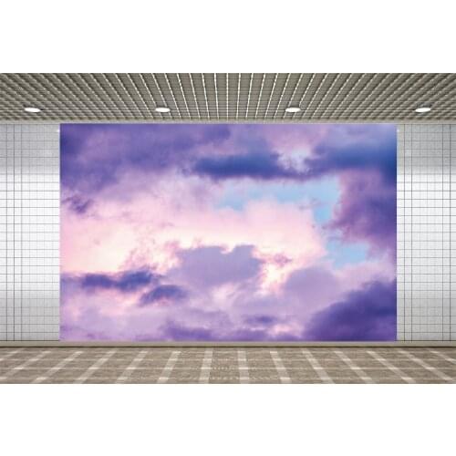 Lyavshi Dreamy Purple Clouds Gradient Sky Newborn Baby Shower Natural Scenery Portrait Backdrop For Photography Photo Background