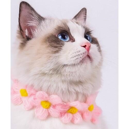 Cat Flower Collar Decorative Collar Hand-woven Cats Dog Collar Teddy Bomei Puppy Ragdoll Kittens Tie Lovely Pet Accessories Type