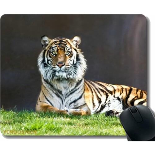 Non-Slip Rubber Gaming Mouse Pad,Tiger Predator Big Cat Lie Grass 52299 Mouse Pads With Stitched Edges