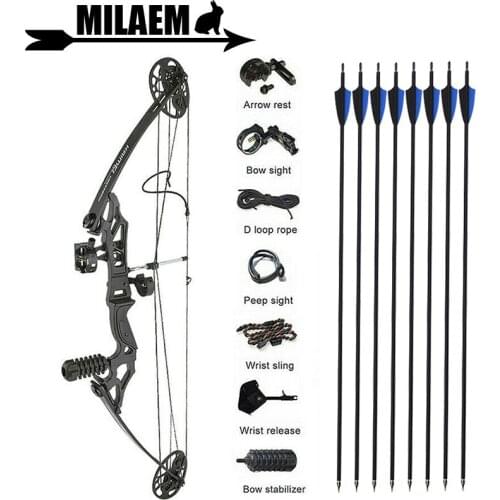Archery Compound Bow Arrows Set 35-50lbs Adjustable Hunting Bow 8pcs spine 500 Carbon Arrows Bow Shooting Accessories