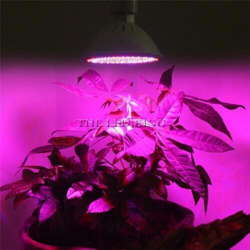 36 60 80 200 led grow light Hydroponic lighting with Clip plants Lamps for flower hydroponics system indoor garden greenhouse