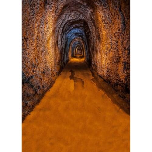 Cave Passage Photographic Background Vinyl Cloth Fond Backdrop for Baby Children Portrait Pets Photophone Photo Studio Props